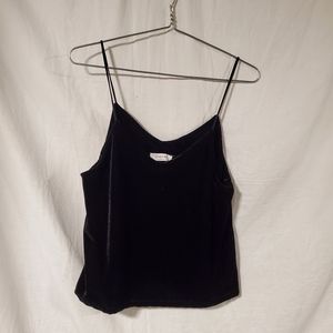 3.3 Field Trip Large Black Velvet Crop Tank